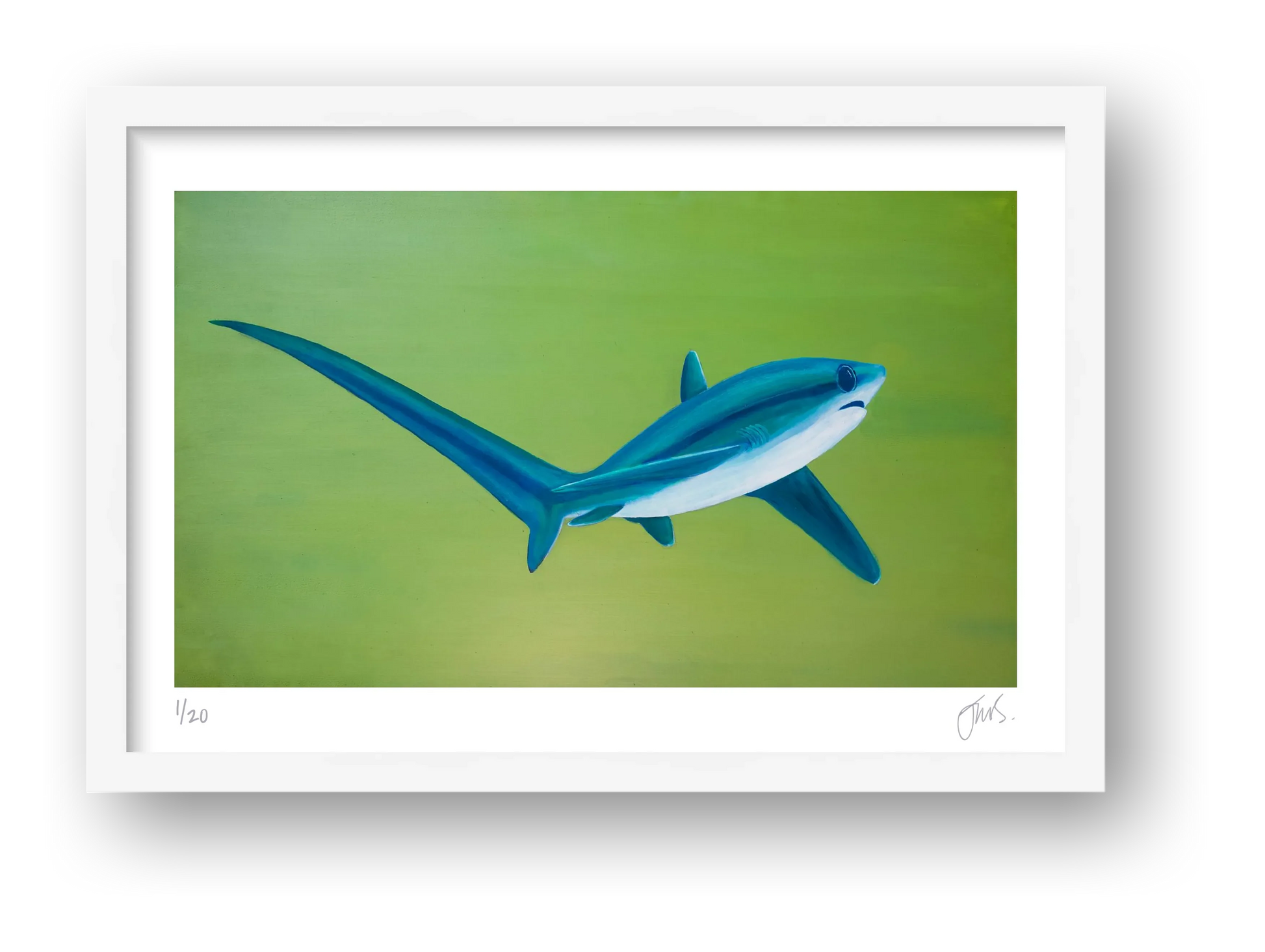Thresher Shark Turning — framed