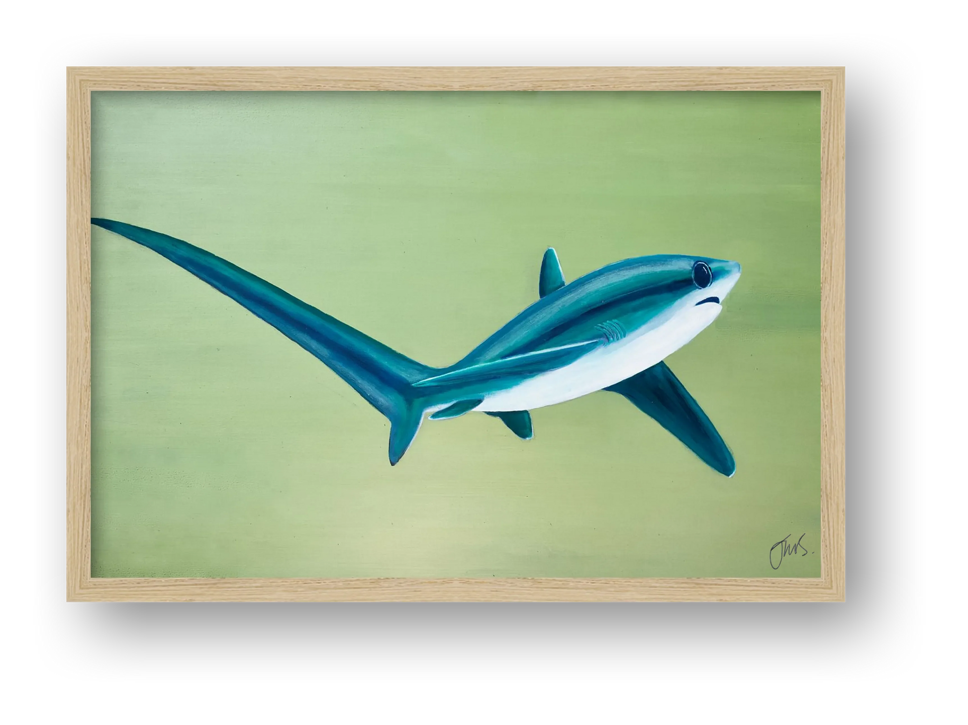 Thresher Shark Turning — framed
